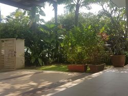 Shamrock Park (D10), Semi-Detached #602211101